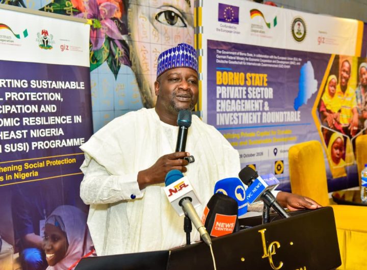 Zulum urges investors to turn Borno’s recovery into economic opportunities