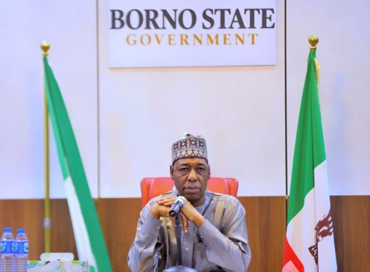 Borno State Governor Babagana Zulum