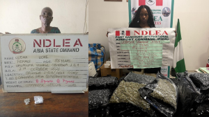 NDLEA arrests 83-year old convicted grandma, South African lady with Colos, Meth shipments
