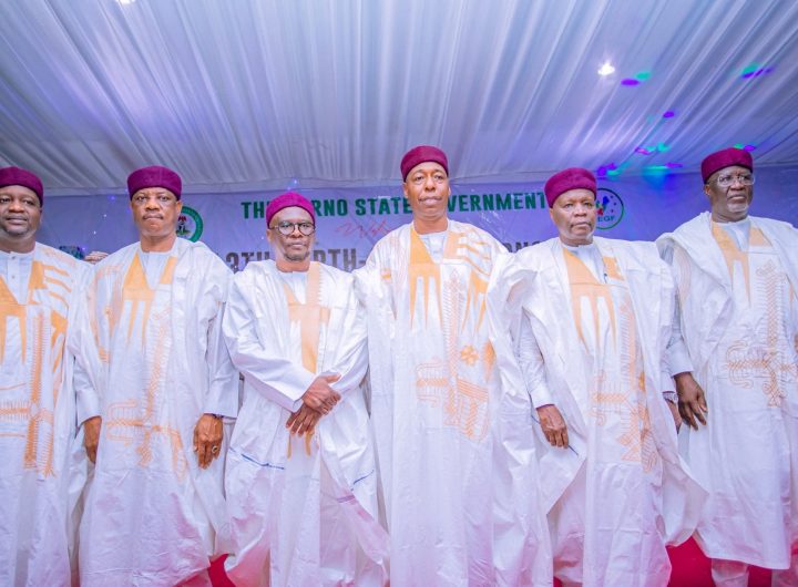North-East governors push regional energy agenda, seek speedy completion of Mambila hydropower