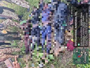 Troops repel terrorist attack in Adamawa, neutralize 6, recover arms and ammunition
