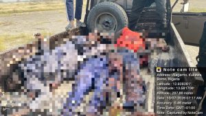 Troops crush ISWAP assault in Kukawa, neutralize over 25 terrorists